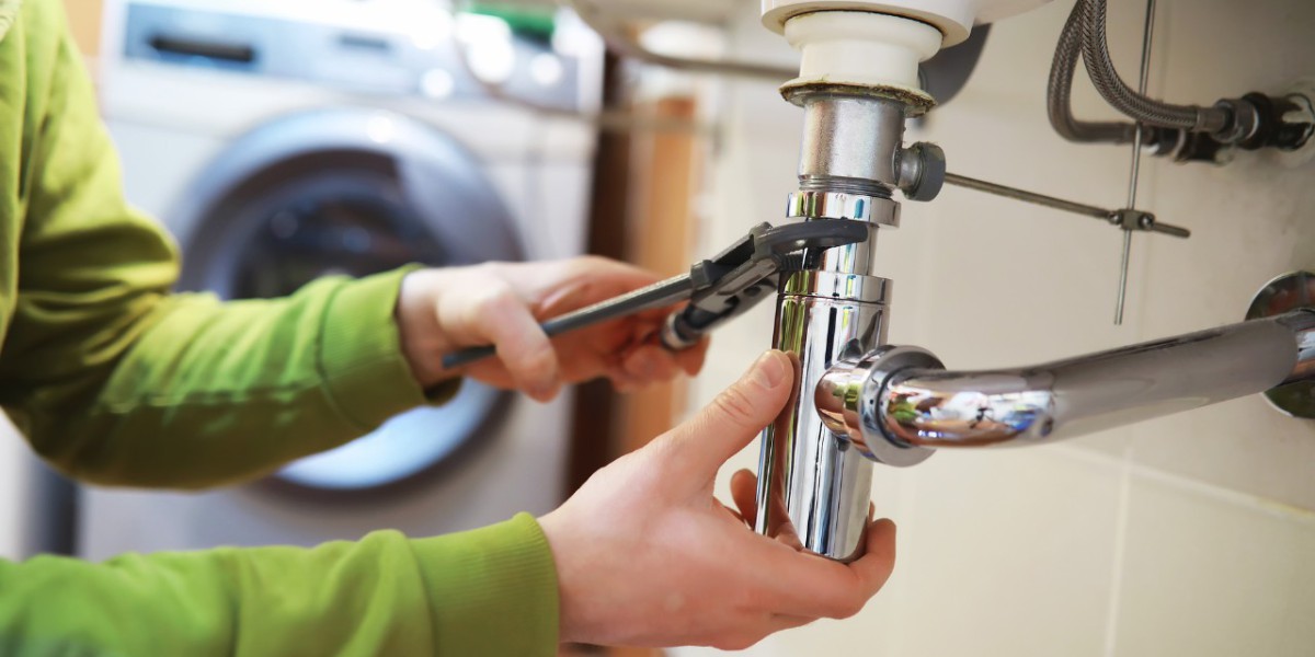 The Role of Professional Plumbing Services in Mitigating Lekkage Utrecht