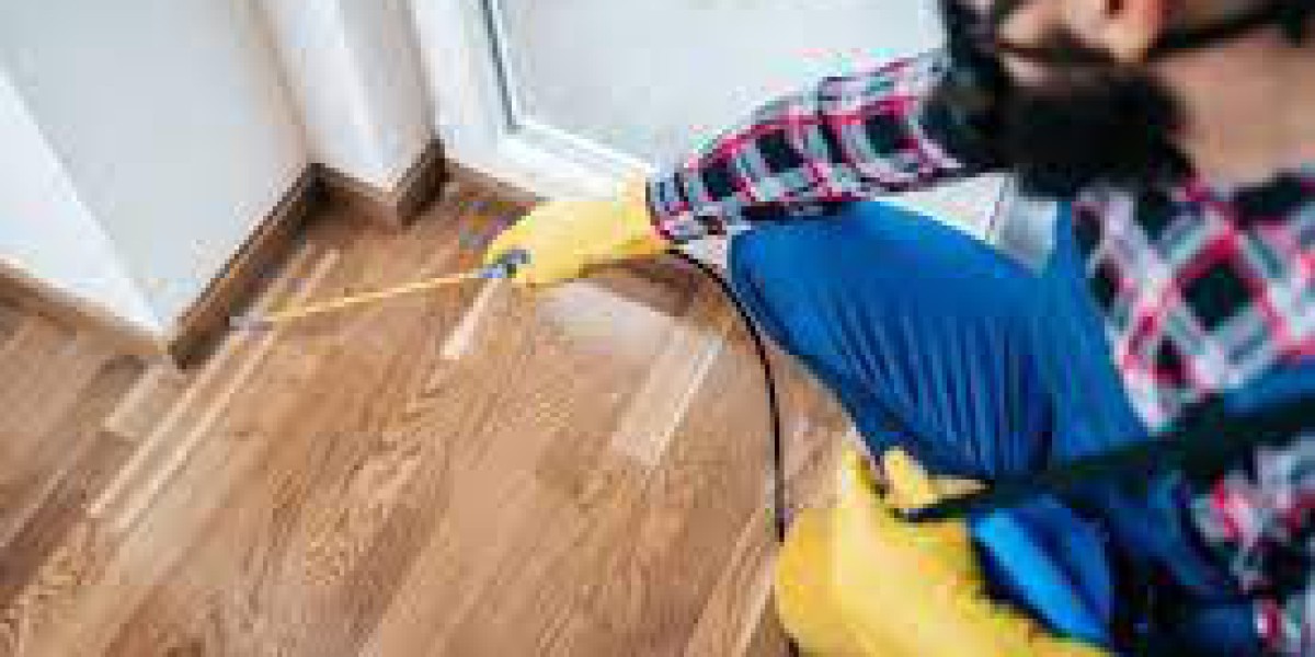 Importance of Pest Control Services