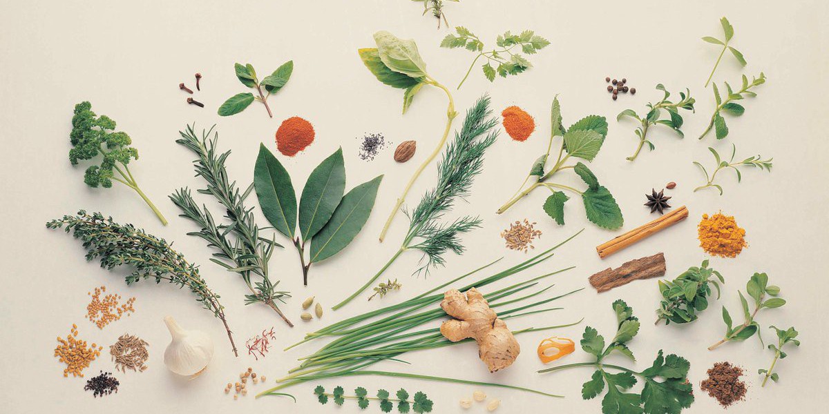 Global Medicinal Plant Extracts Market Trends Analysis: Industry Insights on Geographical Competition of Top Key Players