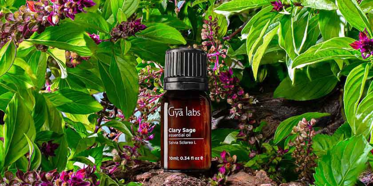 Unlocking Serenity: The Complete Guide to Gyalabs Clary Sage Essential Oil - Where to Buy Nature's Tranquil Elixir