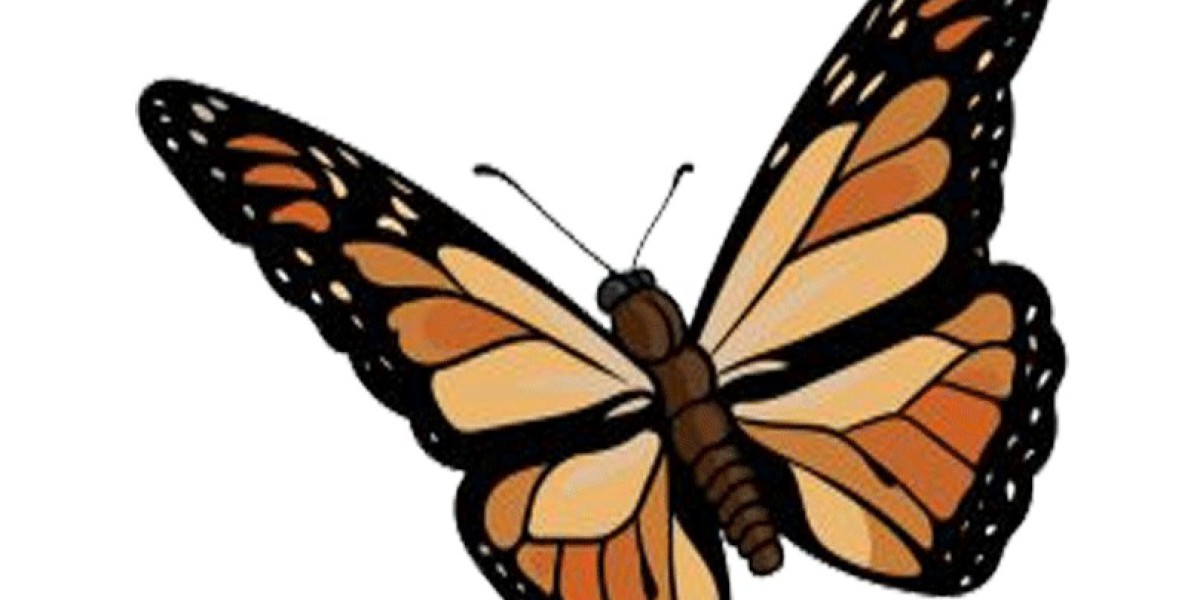 Monarch Butterfly Drawing Tutorial