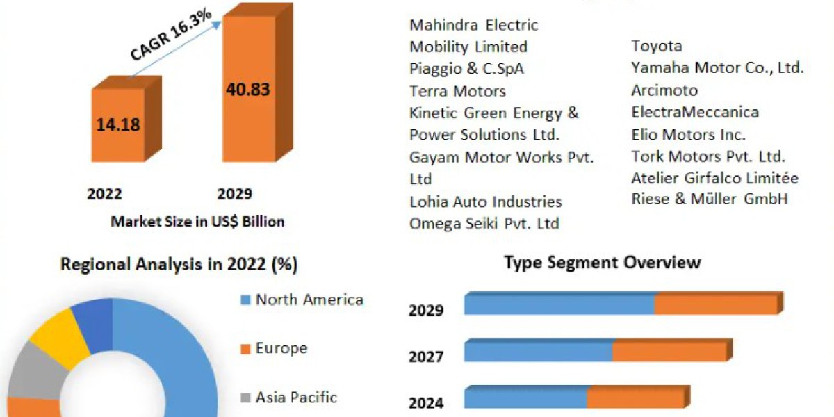 Electric Tricycle Market Insights on Scope-2029