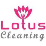 Lotus Carpet Cleaning