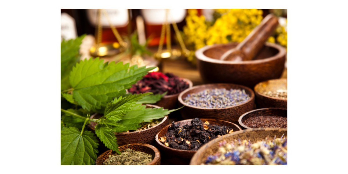 Unlocking Success: Herbalife Member Help Guide