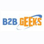 B2B Geeks