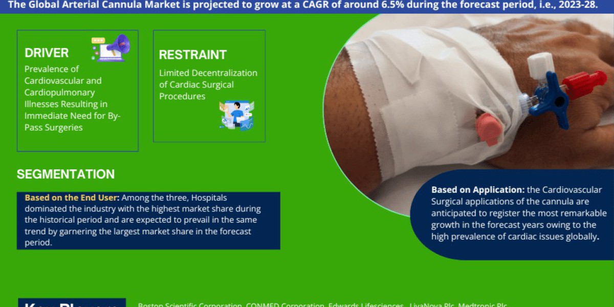 Arterial Cannula Market Opportunities: Exploring 6.5% CAGR Growth (2023-28)