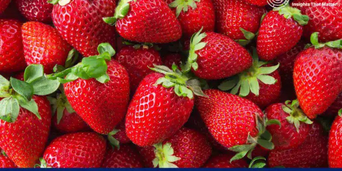 Strawberries Production Cost Processes with Cost Analysis: A Comprehensive Report Unveiled