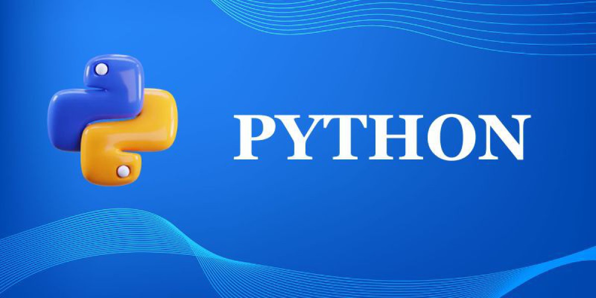 Python Training Institute