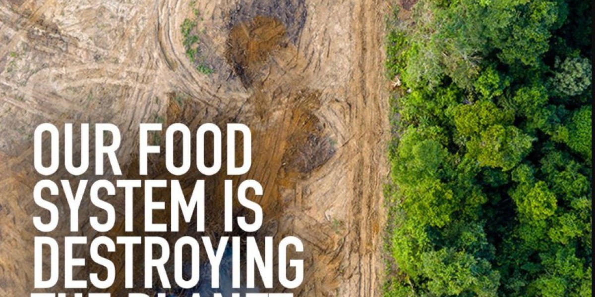 探討純素飲食的可持續性：為地球和健康而選擇