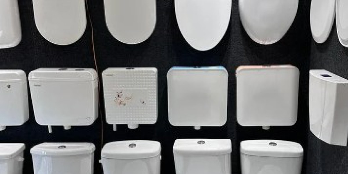 Navigating the Ceramic Sanitary Ware Market: Trends and Forecasts