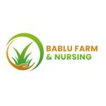 Bablu Farm And Nursery