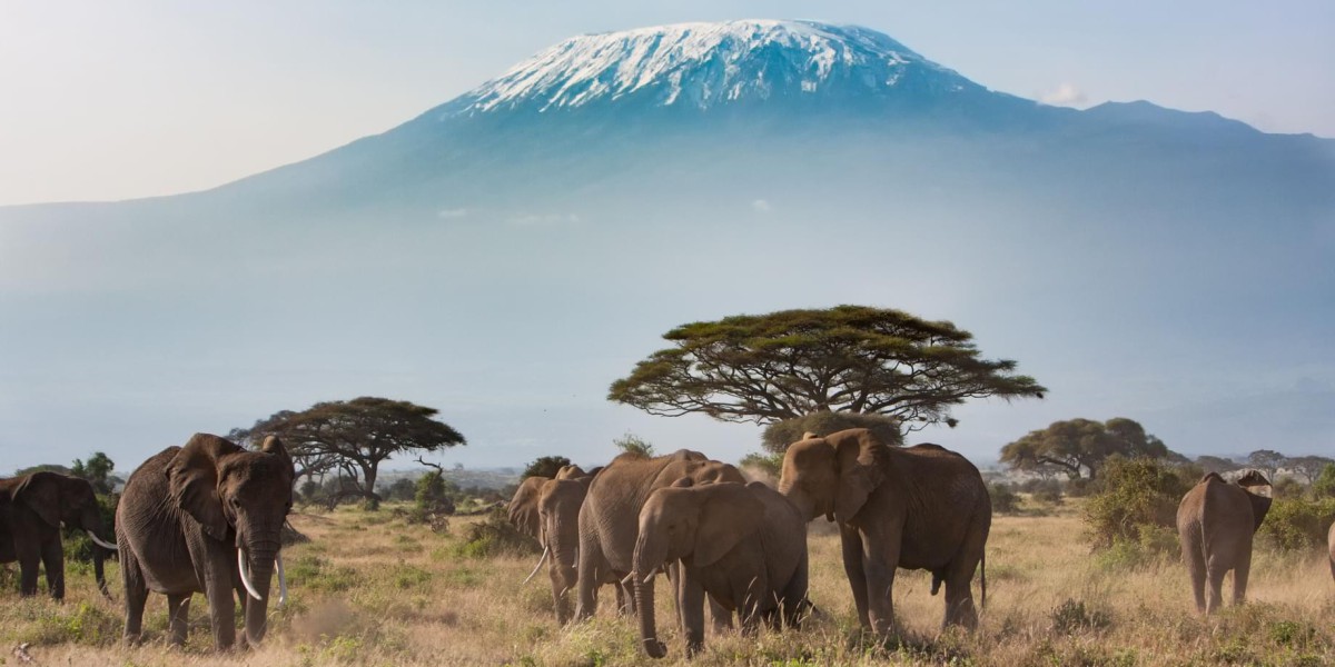 Top 10 National Parks in Uganda