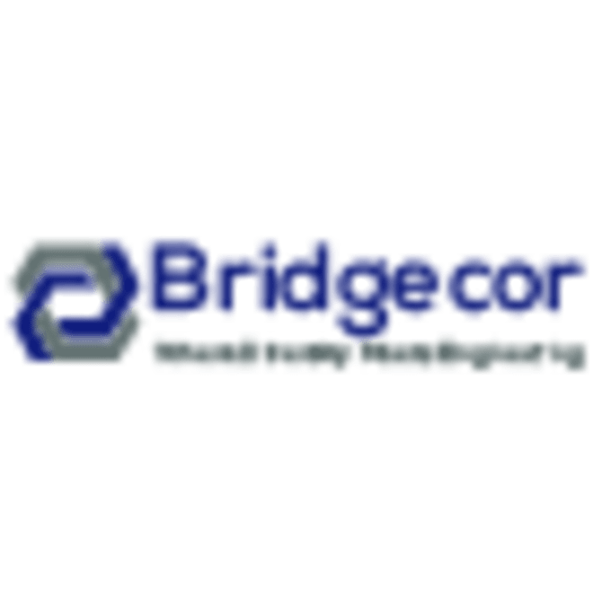 Bridgecor LLC